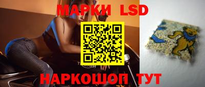 гидропоника Будённовск