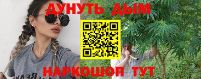 гидропоника Будённовск