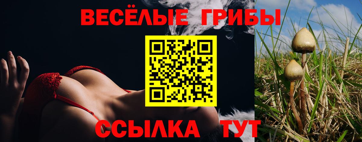 Галлюциногенные грибы Psilocybe  Галлюциногенные грибы Cubensis  Миллерово  Вход с VPN 